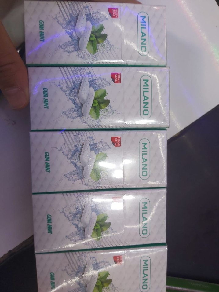 pasajgenclik - Görsel 5