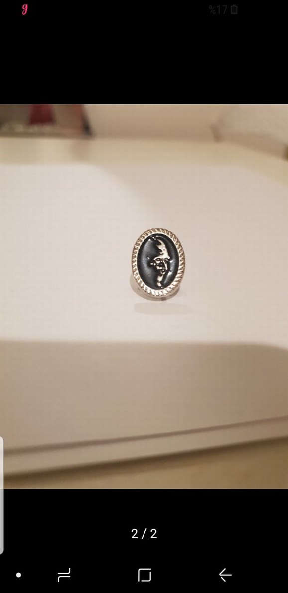 Atatürk Rozeti - Görsel 2