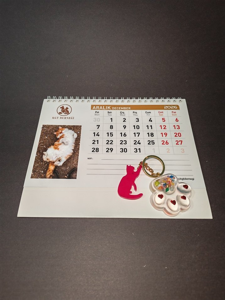 Pembe Kedi Pençe Anahtarlık ve Masa Takvimi - Görsel 2