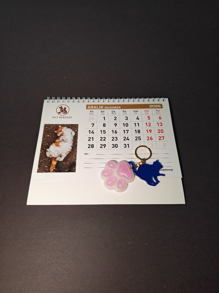 Pembe Kedi ve Patik Anahtarlık - Görsel 3