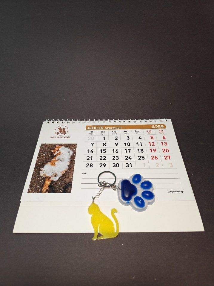 Pembe Kedi ve Patik Anahtarlık - Görsel 5