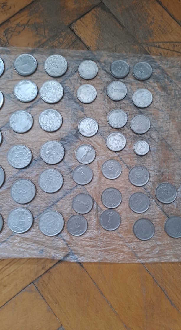 Gri Metal Para Koleksiyonu - Görsel 4