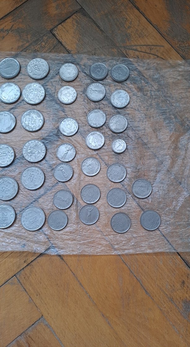 Gri Metal Para Koleksiyonu - Görsel 3