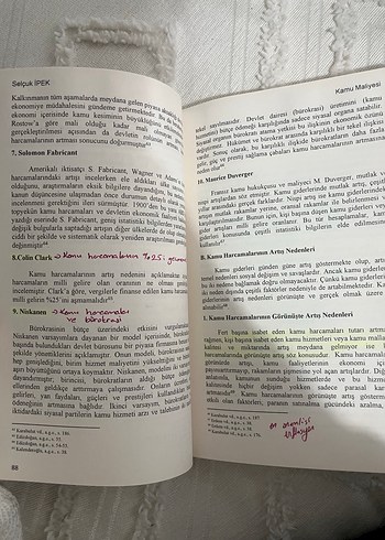 Kamu Maliyesi - Prof. Dr. Selçuk İpek - Görsel 3