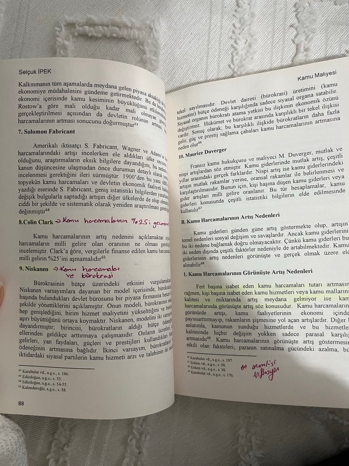 Kamu Maliyesi - Prof. Dr. Selçuk İpek - Görsel 3