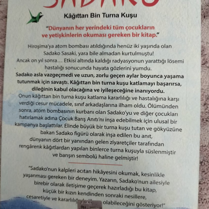 Sadako - Cesaret ve Umut Hikayesi - Görsel 2