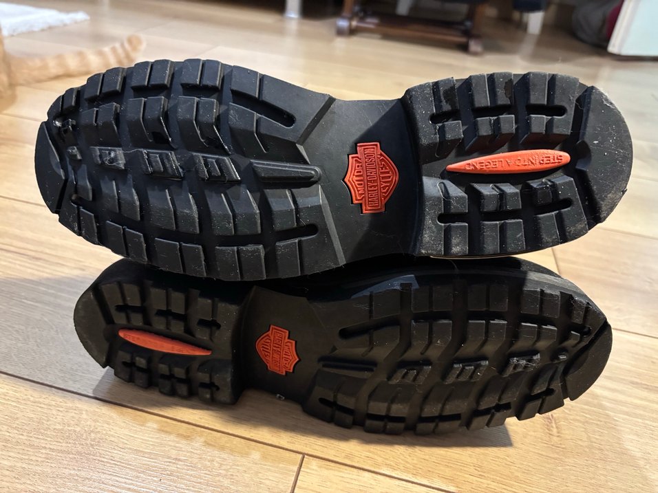 harley davidson riddick erkek bot - Görsel 3