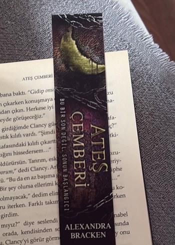 Alexandra Bracken - Karanlık Zihinler Serisi 4 Kitap - Görsel 7