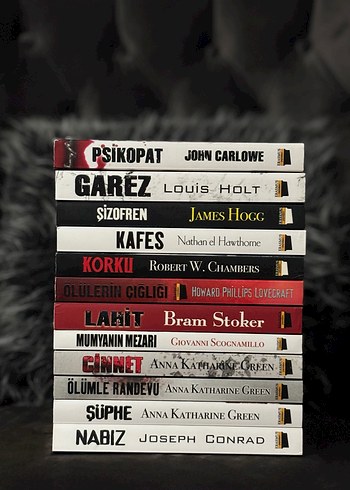 Erasmus Korku Romanı Seti (12 Kitap Tam Set + Özel Kutulu) - Görsel 4