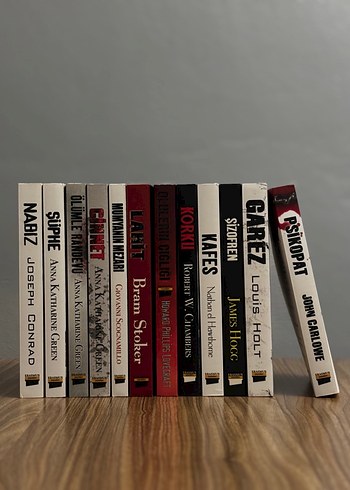 Erasmus Korku Romanı Seti (12 Kitap Tam Set + Özel Kutulu) - Görsel 3