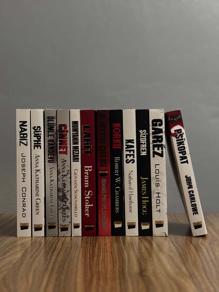 Erasmus Korku Romanı Seti (12 Kitap Tam Set + Özel Kutulu) - Görsel 3