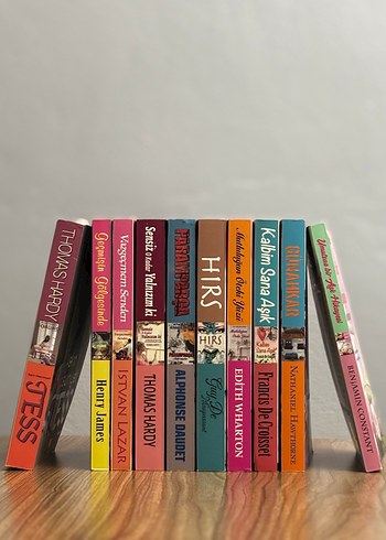 Erasmus Yayınları Özel Seri Dünya Klasikleri - 10 Kitap Set - Görsel 2