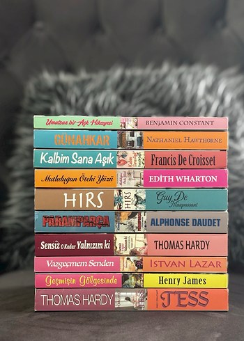 Erasmus Yayınları Özel Seri Dünya Klasikleri - 10 Kitap Set - Görsel 3