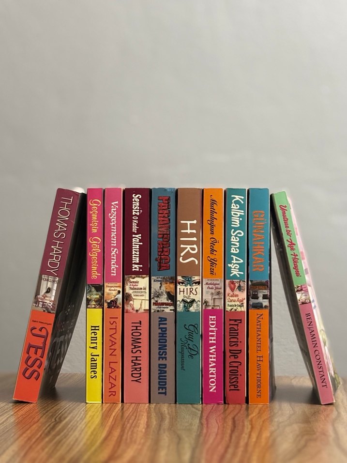 Erasmus Yayınları Özel Seri Dünya Klasikleri - 10 Kitap Set - Görsel 2