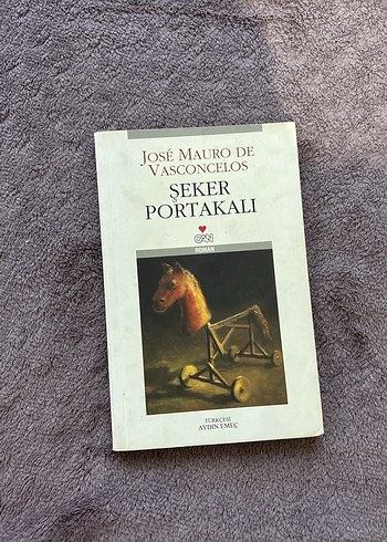 Beş Farklı Roman Seti - Görsel 3