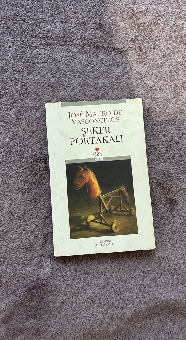 Beş Farklı Roman Seti - Görsel 3