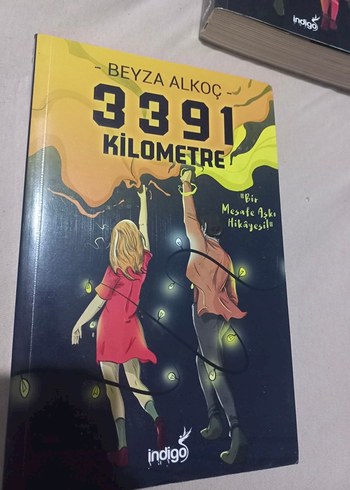 3391 kilometre- Beyza Alkoç - Görsel 2