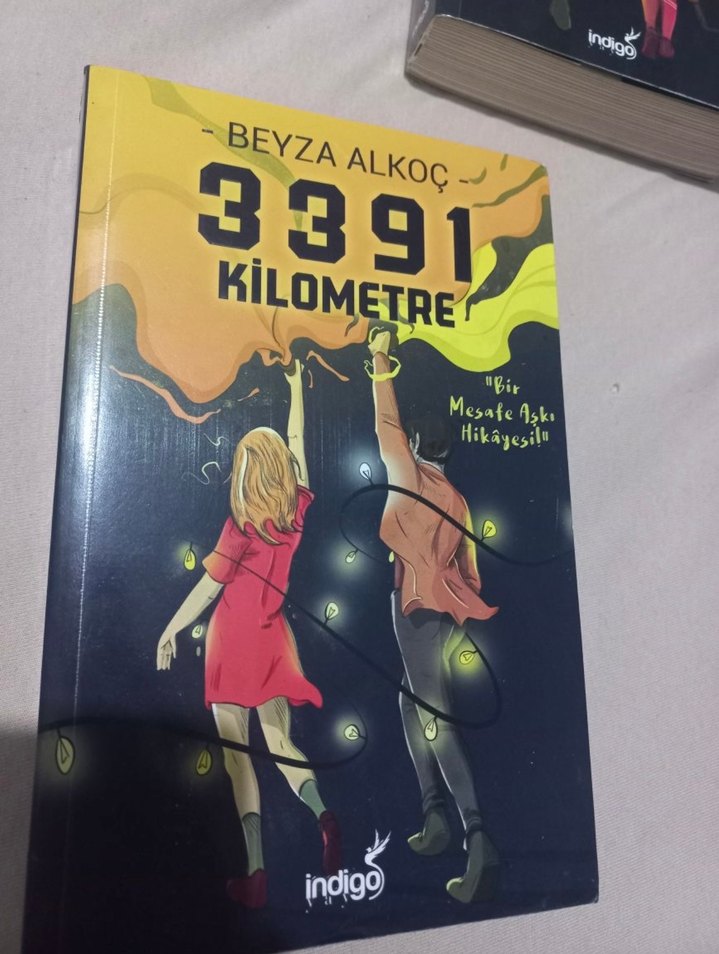 3391 kilometre- Beyza Alkoç - Görsel 2