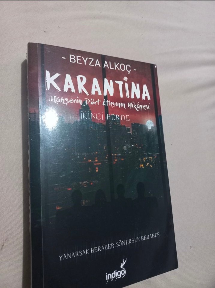 Beyza Alkoç - Karantina Roman Serisi - Görsel 3