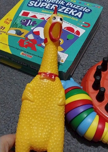 Renkli Zeka ve Denge Oyuncakları Seti - Görsel 6