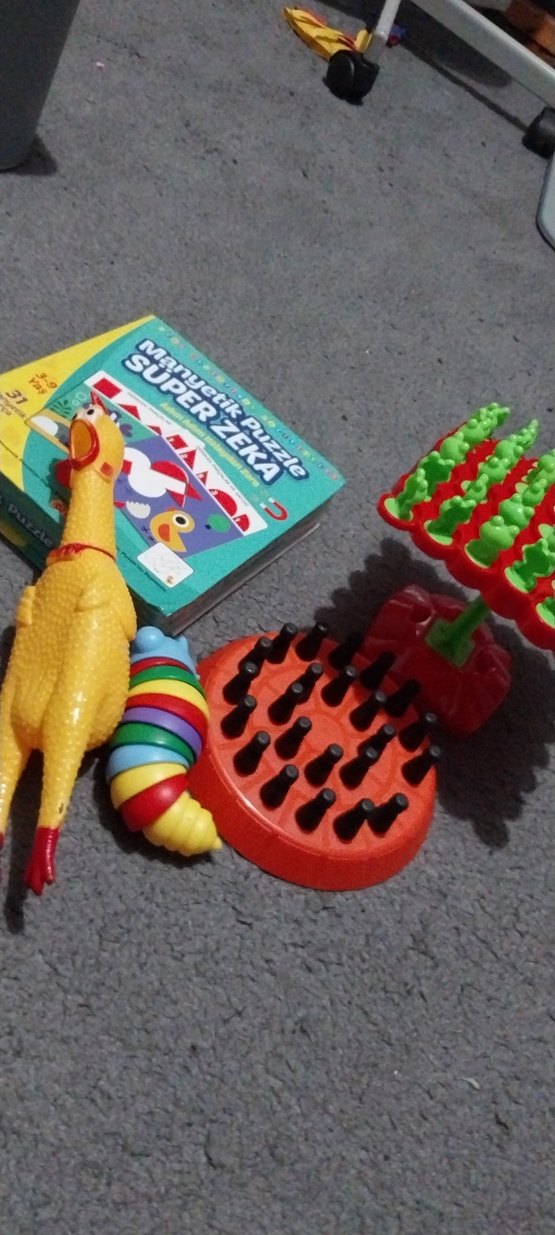 Renkli Zeka ve Denge Oyuncakları Seti - Görsel 5