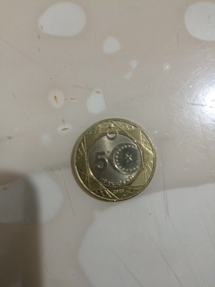 100. YIL PARASI - Görsel 2