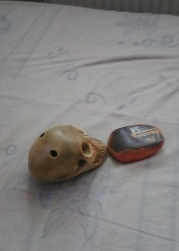 Kahverengi Kafatası ve Kartal Figürlü Dekor - Görsel 2