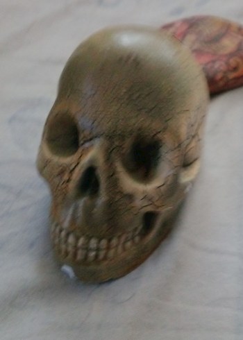 Kahverengi Kafatası ve Kartal Figürlü Dekor - Görsel 5