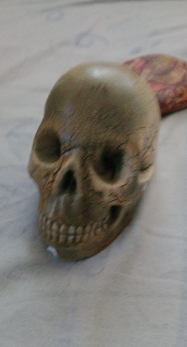 Kahverengi Kafatası ve Kartal Figürlü Dekor - Görsel 5