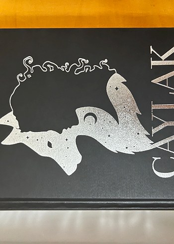 M.rise çaylak - Görsel 2