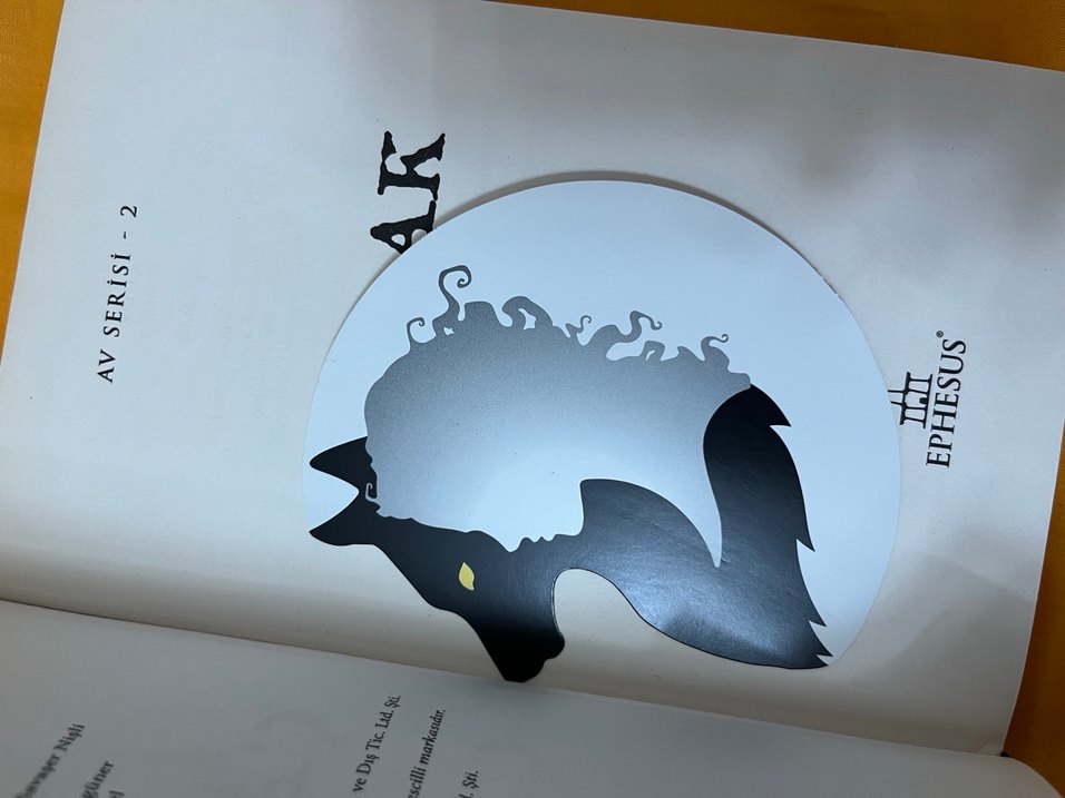 M.rise çaylak - Görsel 3