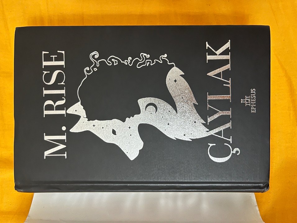 M.rise çaylak - Görsel 2