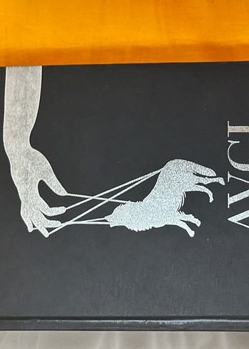 M.rise avcı - Görsel 2