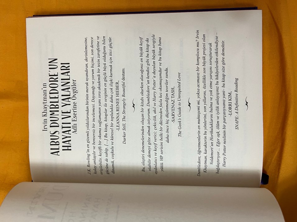 Dumbledore'un Hayatı ve Yalanları Kitabı - Görsel 2