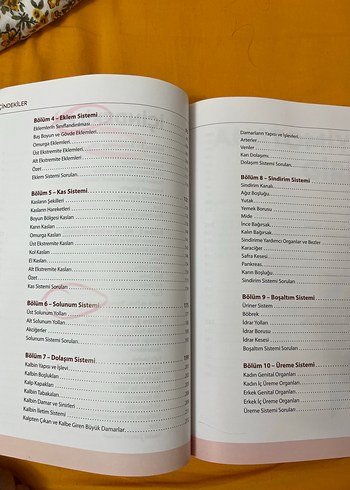 Görsellerle Zenginleştirilmiş İnsan Anatomisine Giriş - Görsel 5