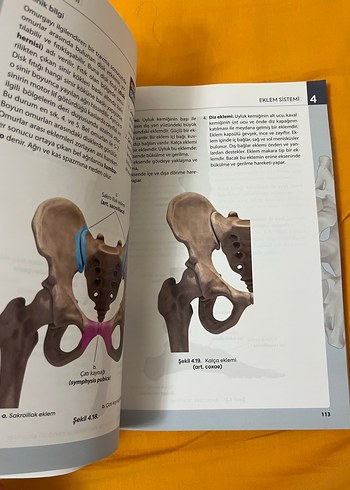 Görsellerle Zenginleştirilmiş İnsan Anatomisine Giriş - Görsel 3