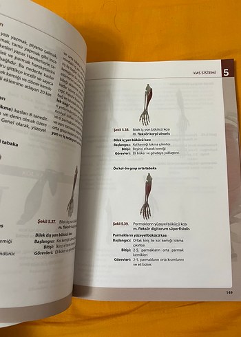 Görsellerle Zenginleştirilmiş İnsan Anatomisine Giriş - Görsel 2