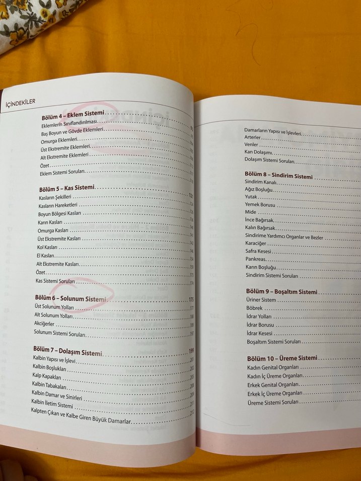 Görsellerle Zenginleştirilmiş İnsan Anatomisine Giriş - Görsel 5