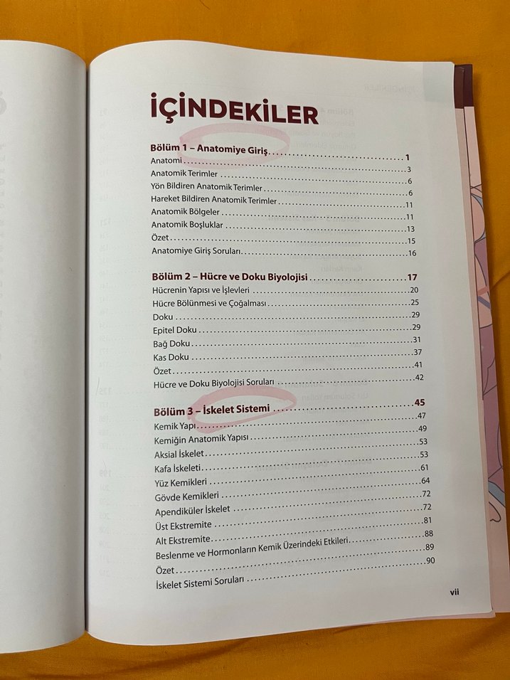 Görsellerle Zenginleştirilmiş İnsan Anatomisine Giriş - Görsel 4