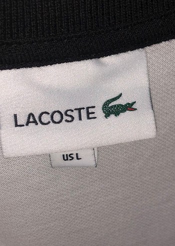 Gri Yakalı Beyaz V Yaka Erkek Polo Tişört - Görsel 2