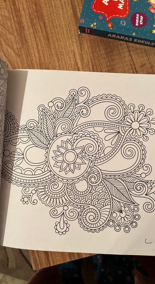 Büyükler İçin Mandala Boyama Kitabı - Görsel 3