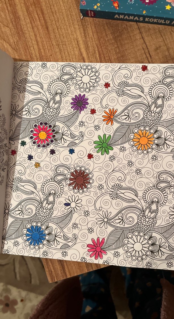 Büyükler İçin Mandala Boyama Kitabı - Görsel 2