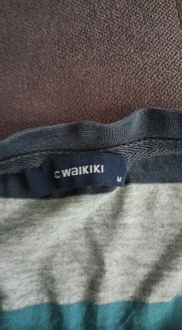 LC Waikiki erkek tişört - Görsel 2