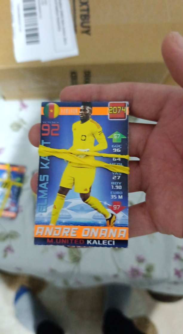 Renkli Futbol Temalı Kart Oyunları - Görsel 3