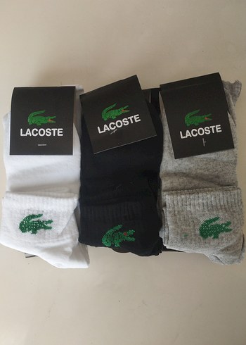 12'Lİ ERKEK LACOSTE PATİK (40-44) BEDEN - Görsel 3