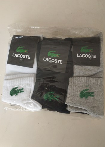 12'Lİ ERKEK LACOSTE PATİK (40-44) BEDEN - Görsel 5