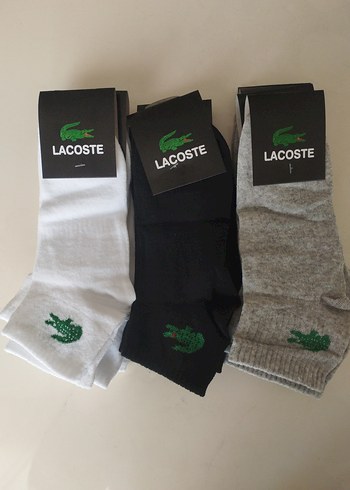 12'Lİ ERKEK LACOSTE PATİK (40-44) BEDEN - Görsel 2