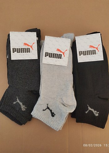 Puma
