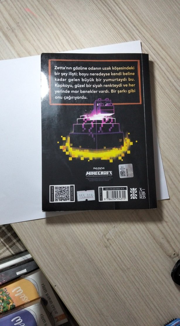 Minecraft Ejderha - Nicky Drayden Kitabı - Görsel 2