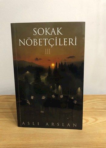 Sokak Nöbetçileri 3 ve 4 - Aslı Arslan - Görsel 3